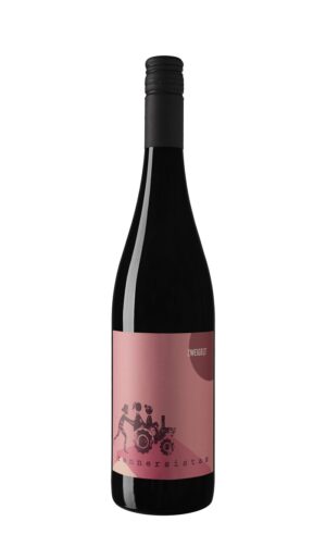 Zweigelt Bio Demeter 2022