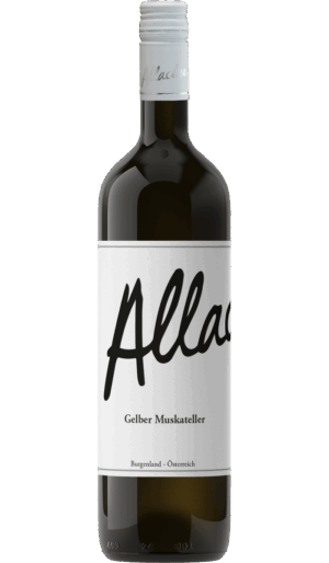 Gelber Muskateller 2025