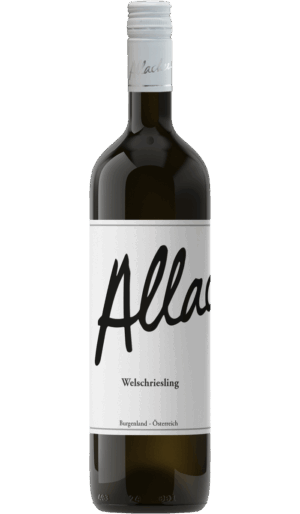 Welschriesling 2025
