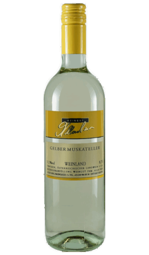 Gelber Muskateller 2025
